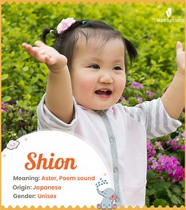 Shion Name Meaning, Origin, History, And Popularity