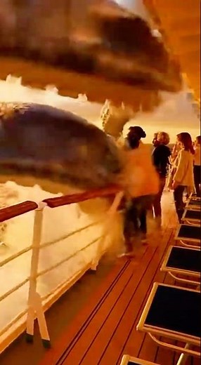 GIANT SQUID Attacks Cruise Ship! Passengers RAN for Their Lives! 🦑 #squid #attack