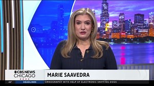 Teens open time capsule from 2000, encounter VHS tapes and floppy discs