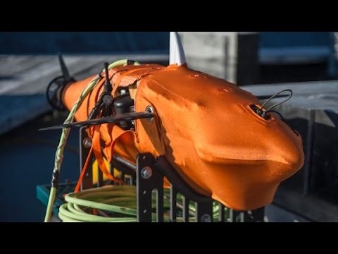 Meet the U.S.Navy's spy 'fish'