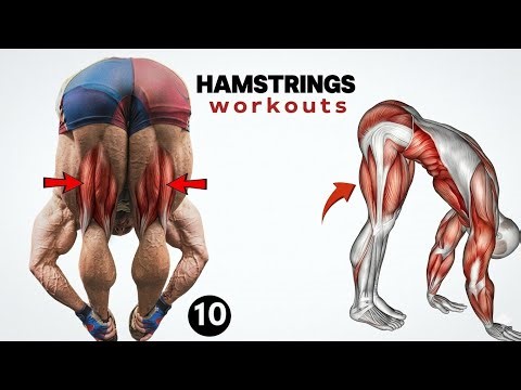 10 Best Hamstring Exercises for Massive Leg Growth (No More Weak Legs!)