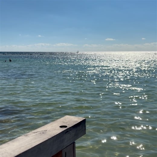 Stéphanie Frey on Instagram: "🇲🇽 Mexique autrement Deuxième voyage au Mexique. Alors cette fois, on a choisi de ne pas refaire Tulum, Playa del Carmen, Chichén Itzá ou Bacalar. Pas besoin. On avait envie d’autre chose. Cozumel. C’est la deuxième fois qu’on vient ici, et pour les amoureux du snorkeling, ça vaut vraiment le détour. Le parc national Arrecifes de Cozumel se découvre depuis la mer, mais aussi directement depuis la plage. Sous l’eau, c’est juste ouf : poissons tropicau