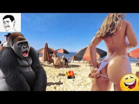 TRY NOT TO LAUGH 😆 Top Funniest Moments 2026 😁😂 Memes #4 #funny #trynottolaugh #fails