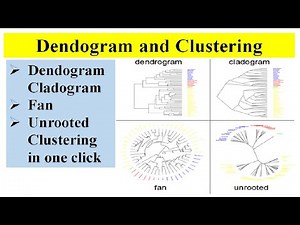 Hierarchical clustering Dendogram Cladogram Fan rooted radial graphs in one click