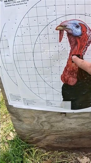 Patterning shotgun for turkey-40 yard shot