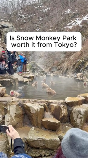 Snow Monkey Park from Tokyo: Is It Worth It? 🇯🇵 (Honest Travel Reality) | Japan Travel Series 🇯🇵