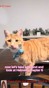 Get your daily Jesus with dapper #3southern #viral #video #reelsfb #loves R | Chisel.Me.Timbers by Davey Jones