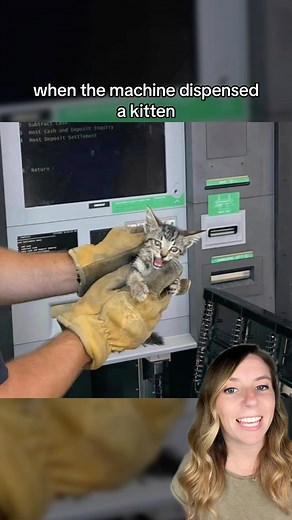 An ATM in Arkansas dispensed a kitten instead of cash. 🐈‍⬛ But the kitten was later named Cash, so it appears all was in order with the ATM after all. 💰 Jokes aside, the Fort Smith Fire Department was on scene right away when they received reports of meowing coming from inside the ATM. Cash was successfully rescued, healed, and adopted into a loving home. ❤️ 📸 Fort Smith Fire Department / Fort Smith Animal Haven #cat #catrescue #cats #adoptacat #animals #kitten #kittens #goodnews #catadoption