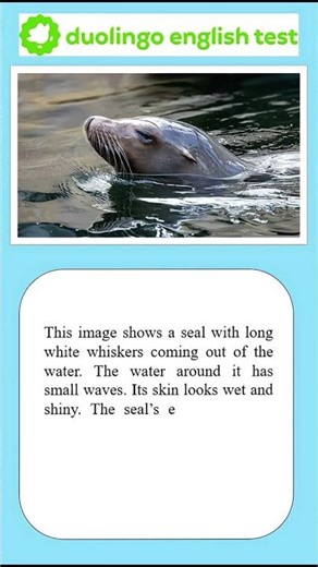 Duolingo Describe Image #10