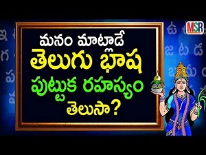 History of the telugu Language | తెలుగు భాష పుట్టుక రహస్యం తెలుసా? | MSR TV