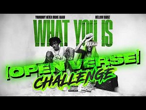 YoungBoy 'What You Is' [OPEN VERSE][CLEAN]