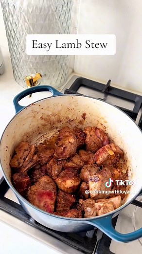 Easy Lamb Stew Recipe: Cooking with Luyanda in Johannesburg