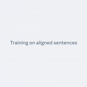 Modeling 200 languages: Meta AI researchers have developed a Sparse Mixture-of-Experts model that has a shared and specialized capacity, so low-resource languages without much data can be automatically routed to the shared capacity. Combined with better regularization systems, this avoids overfitting. We also used self-supervised learning and large-scale data augmentation through multiple types of back-translation. Learn more about what’s behind our inclusive language translation models: https:/