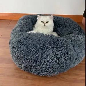 30K views · 1.2K reactions | Want to delight your pets  Let them have a comfortable seat  And a great night of sleep  Get it here ▶ https://lovecatstyles.com/products/pet-warm-cushion Get it here ▶ https://lovecatstyles.com/products/pet-warm-cushion | CatFashion | Facebook