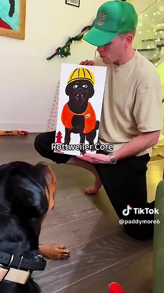 Funny Rottweiler Moments That Will Make You Laugh