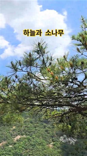 #하늘과나무#이찬원하늘여행#하늘길