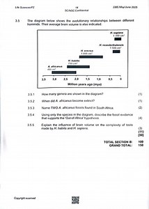 3.5 Evolutionary relationships and brain volume in hominidsTh... | Filo