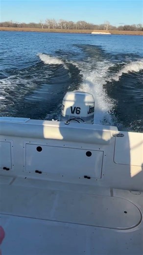 Johnson 225 HP 2-Stroke w/ less than 85 hours