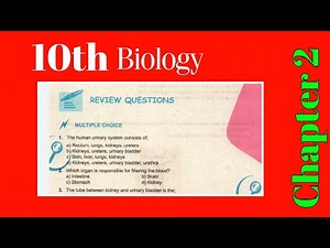 class 10 Biology Chapter 2 homeostasis review Exercise | Bio 10th MCQs solution Chap 2 | Homeostasis
