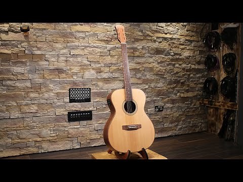 Freshman Guitars FA Ltd Spruce OM 20th Anniversary Edition Review