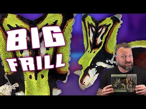 Massive Frilled Chad Ceratopsian! Creative Beast Previews Beast Of The Mesozoic Chasmosaurus belli