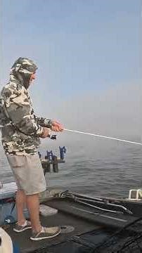 Hybrid Bass Action Continues on the Tennessee River!