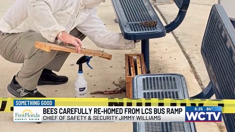 Something Good: Bees carefully re-homed from LCS bus ramp