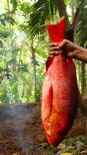 food code (@food__code)’s videos with original sound - food code