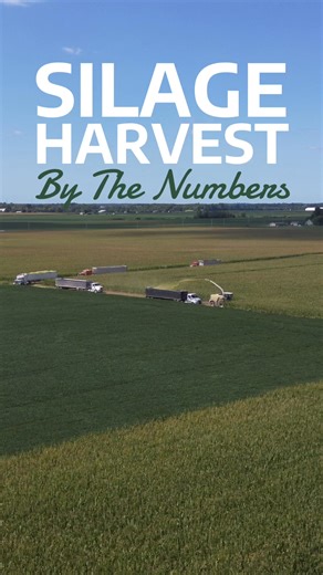 Our 2025 Silage Harvest went by in the blink of an eye! How’s your silage season? #farming #fyp #corn #claas #silage2025 | VanTilburg Farms, Inc.