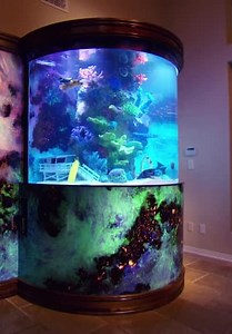 Tanked S09:E06 - The Hoff Gets Tanked