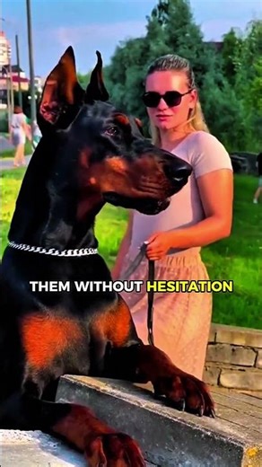 Top 3 Most Protective Dogs#protectivedogs #guarddogs#dogfacts #animalfacts #securitydogs #dogshorts