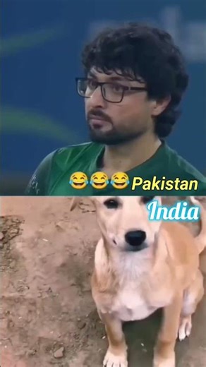 #viralshort #viral #song #funnycricket #ipl #viralvideo #music #rcbians #video #ineeteshcricketer