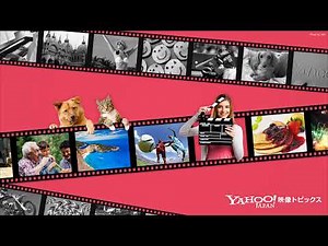 Yahoo!映像トピックス公式チャンネル のライブ配信