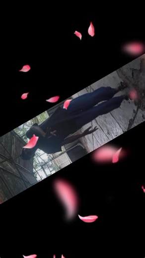 CBC BOYZ (@cbc.boyz)’s videos with original sound - CBC BOYZ