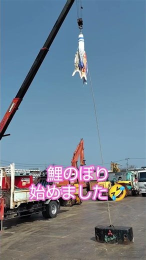 ジムニーおばさん暇なので鯉のぼり飾ります🤣🤣🤣 こどもの日