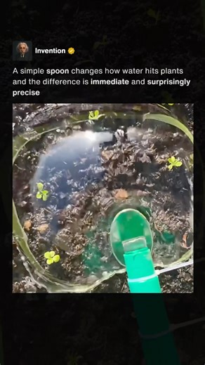 Gentle Watering Hack 🌱 #shorts