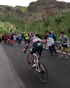 498K views · 8.8K reactions | Ciclismo en estado puro: así vivimos en Ruta 360 la última etapa de montaña en el @giroditalia 2022. La gente se tomó la carretera para festejar con los ciclistas.  Realizado por: Freire TV para Revista Semana | RUTA 360 | Facebook
