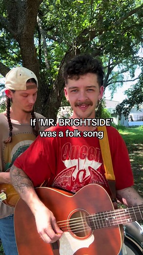 Mr. Brightside Folk Song Cover