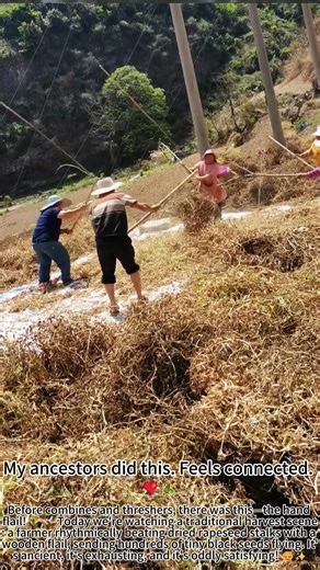 Ancient Flail Harvest: Satisfying Grain Beatdown! 🌾🔨