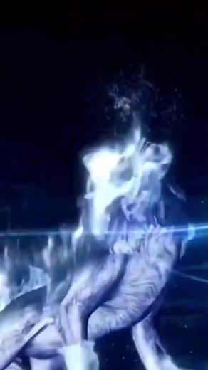 Wolf Logo Opening Video