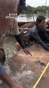 675K views · 9.6K reactions | At over 400lbs - this is the biggest freshwater River Monster Jeremy has come across  #rivermonsters #jeremywade #fishing | River Monsters Global | Facebook