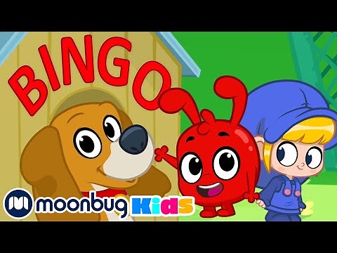 BINGO SONG! | NEW! | Cartoons for Kids | Morphle's Nursery Rhymes & Kids Songs