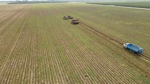 The real MVP’s? Our farmers! 🏆 Many have forgotten, but before J.R. Simplot got into the food processing, he farmed potatoes in Declo, Idaho. It was hard work back then and it remains so today. And yet our farmers continue to produce more delicious peas, corn, carrots and potatoes with less resources every year. Shoutout to the many boots on the ground bringing delicious, piping hot fries and fresh veggies to your table all year round. | Simplot Foods - USA