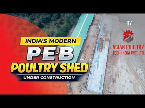 Massive P.E.B Poultry Shed Project Under Construction