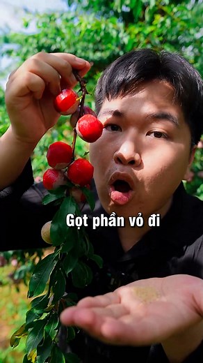 1.4M views · 27K reactions | Ăn mận x10 vị來#reels #reelsfacebook #foodreview #hdrvideo #hoaquatuoi #hoaqua #hoaquangon #hđrv #food #hoaquả #reelsfb | Hải Đăng Review | Facebook