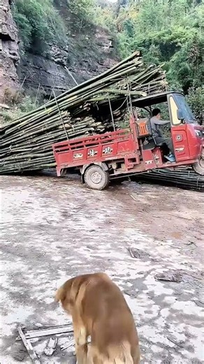 The Physics of Overloading: Understanding Center of Gravity in Transport