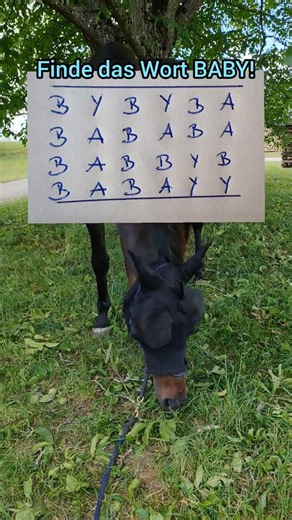 Can you find the word Baby? Where is it? #puzzle #brainteaser #riddle #wordguess