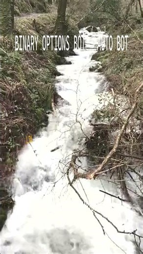 BINARY OPTIONS BOT 2026 - This Bot s Accuracy Is Better Than 10 Pro Traders Combined #shorts