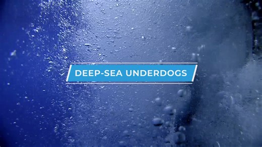 Deep-Sea Underdogs - NOAA Ocean Exploration