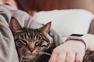 Cómo registrar el sueño con tu iPhone y el Apple Watch